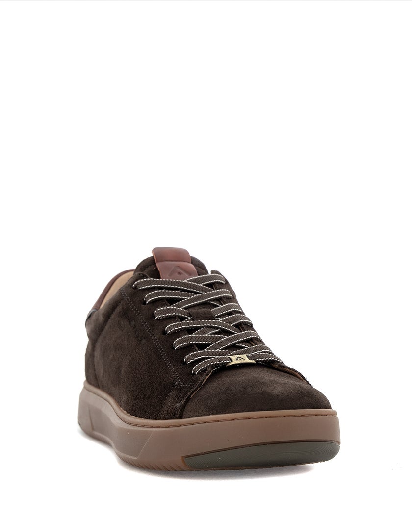 Ambitious Brun Sneakers