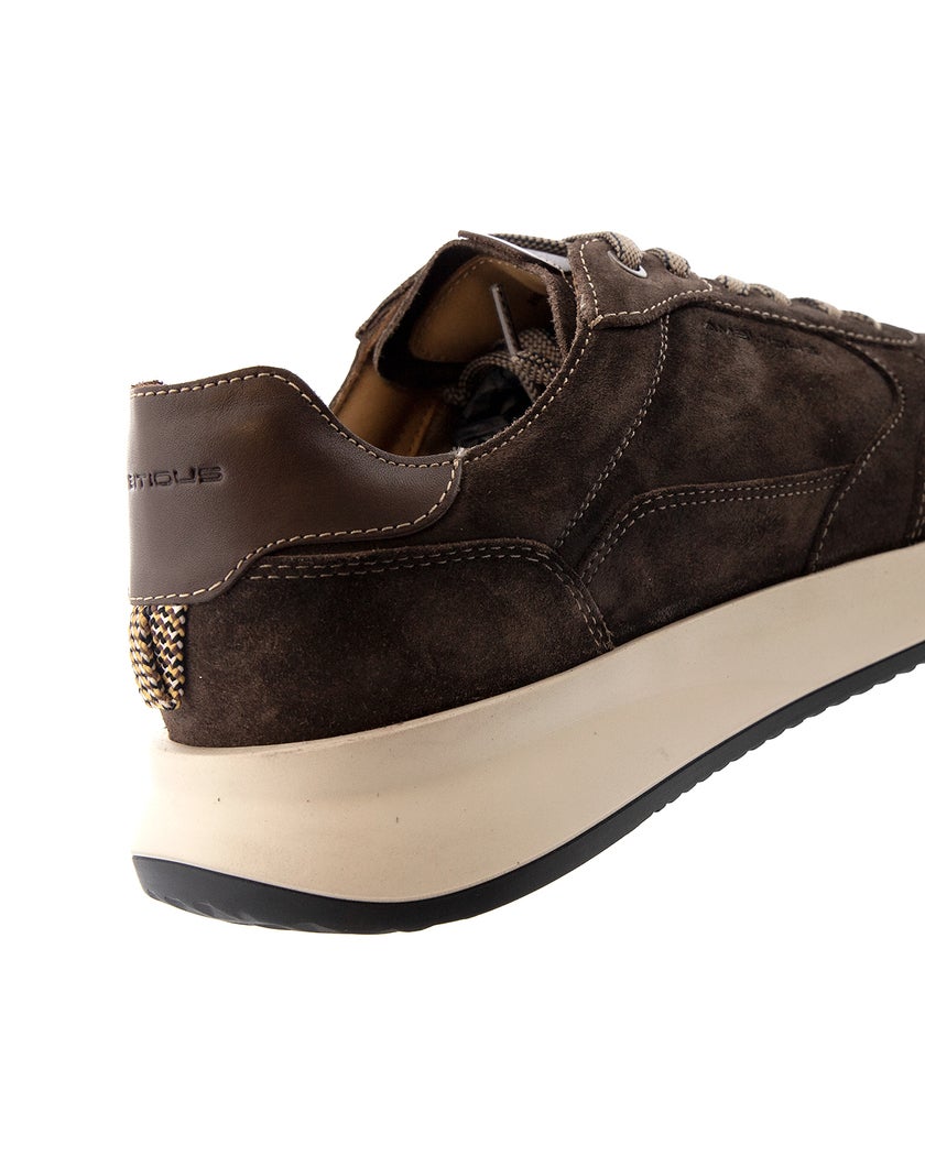 Ambitious Brun Sneakers